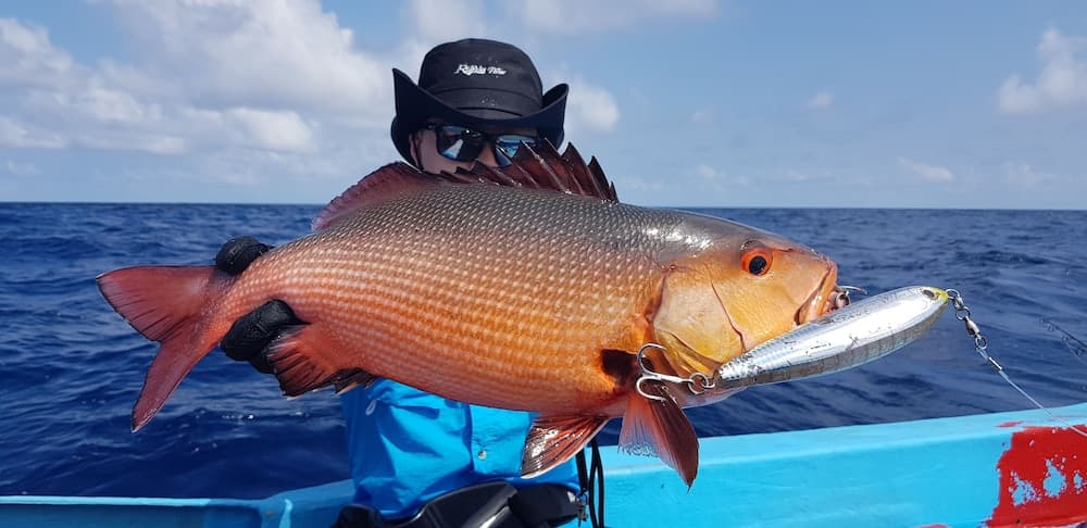 Village Life Maldives - View 84