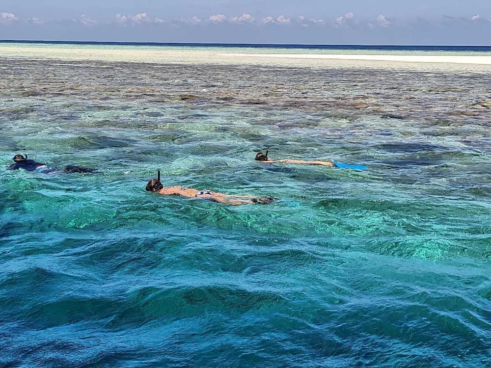 Liberty Guest House Maldives - View 151