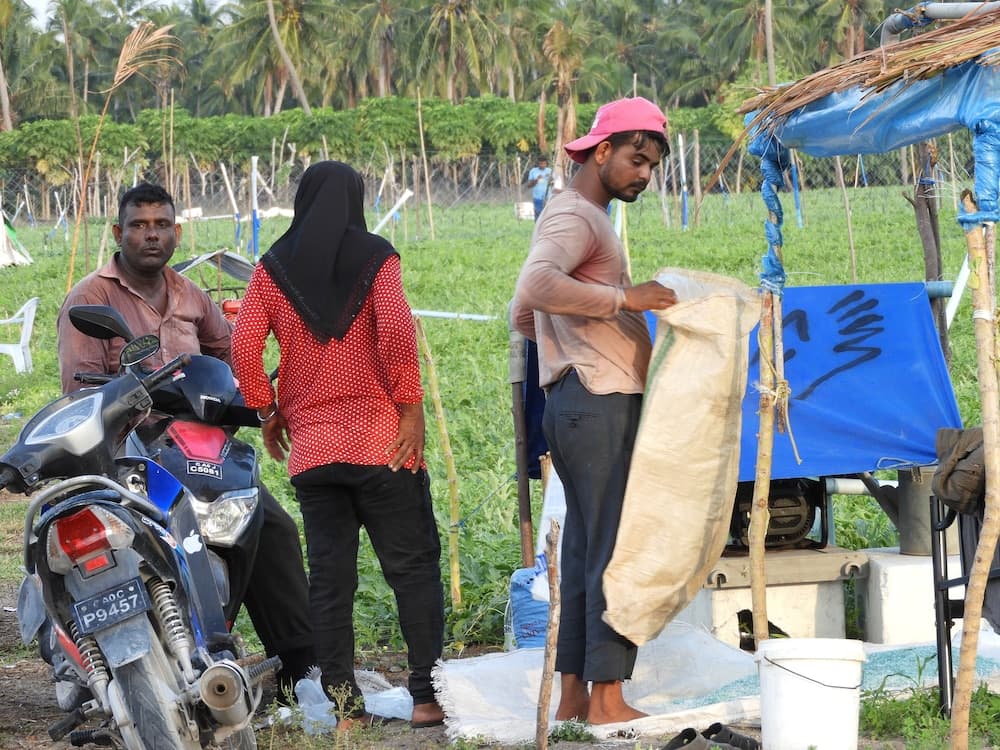 Karaa Village - View 23