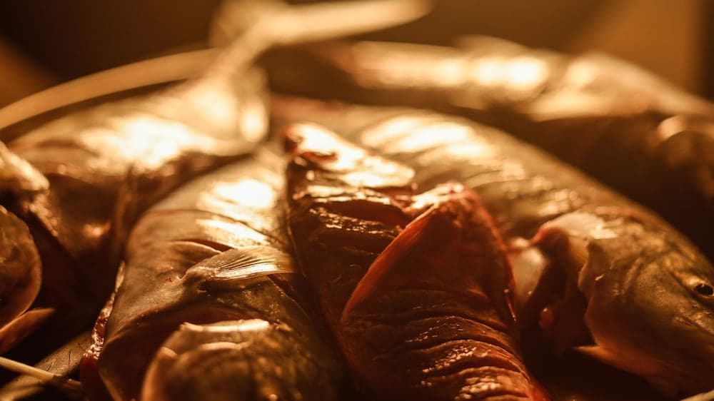 Tranquila Maldives - View 25