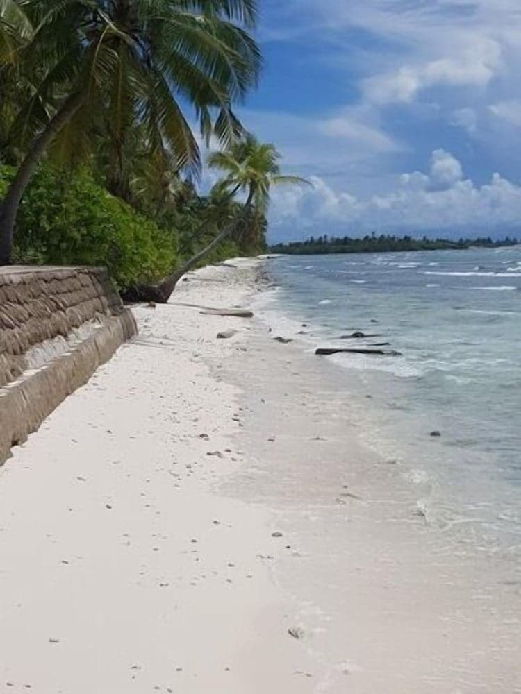 Equator HomeStay - View 87