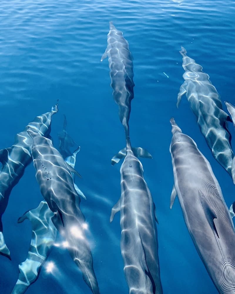 Mariana Inn Maldives - View 47