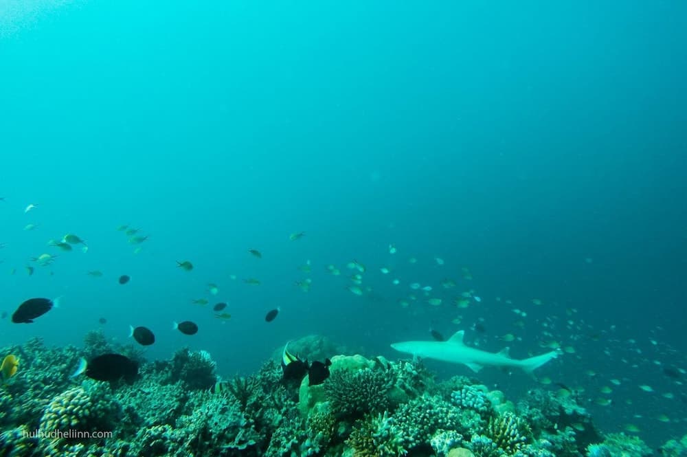 Hulhudheli Inn - View 90