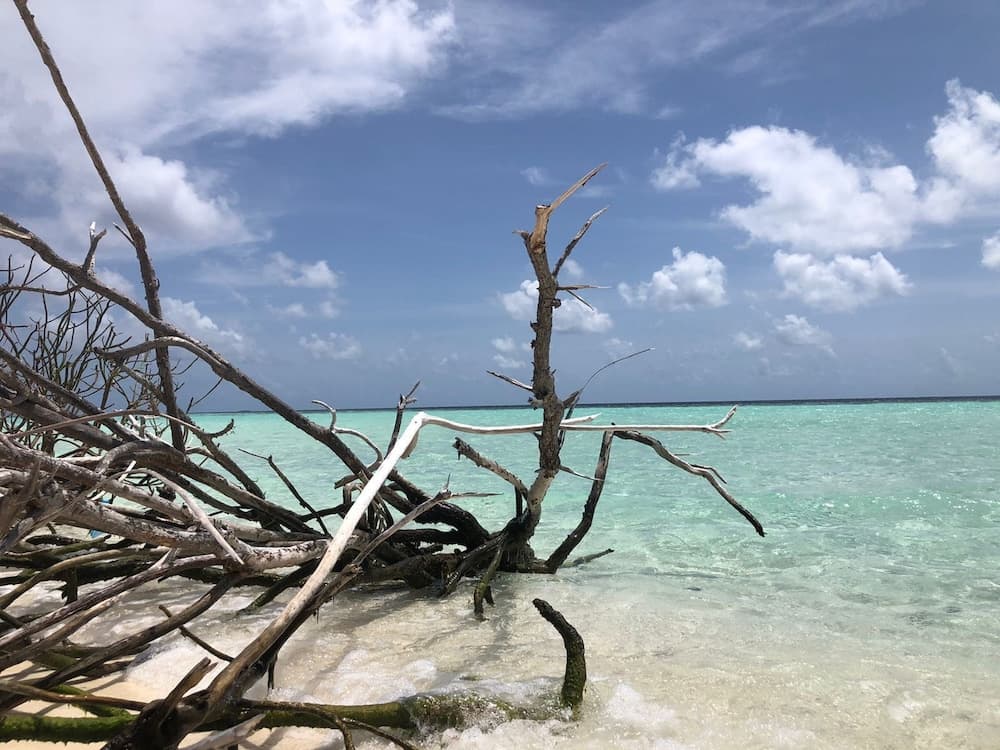 Liberty Guest House Maldives - View 152