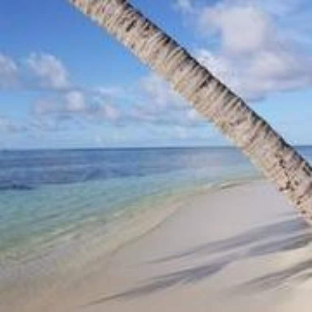 Pearl Beach View - View 2