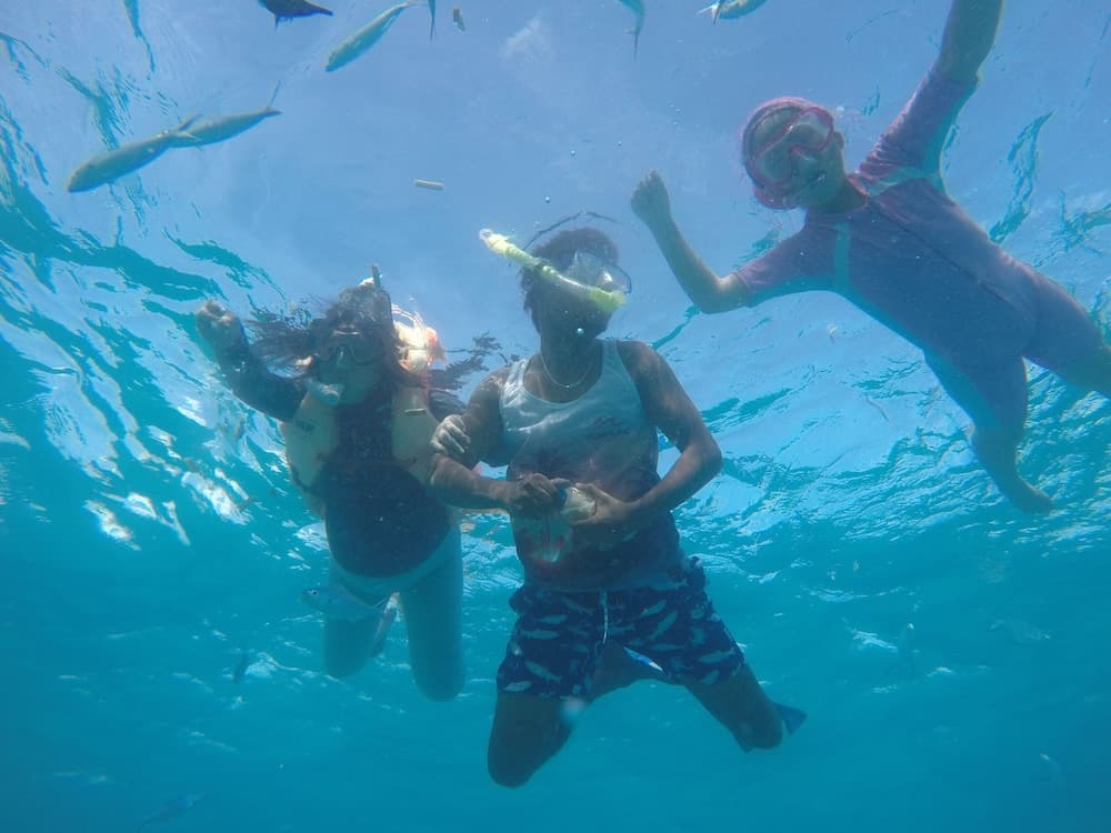 Equa Reef Maldives - View 35