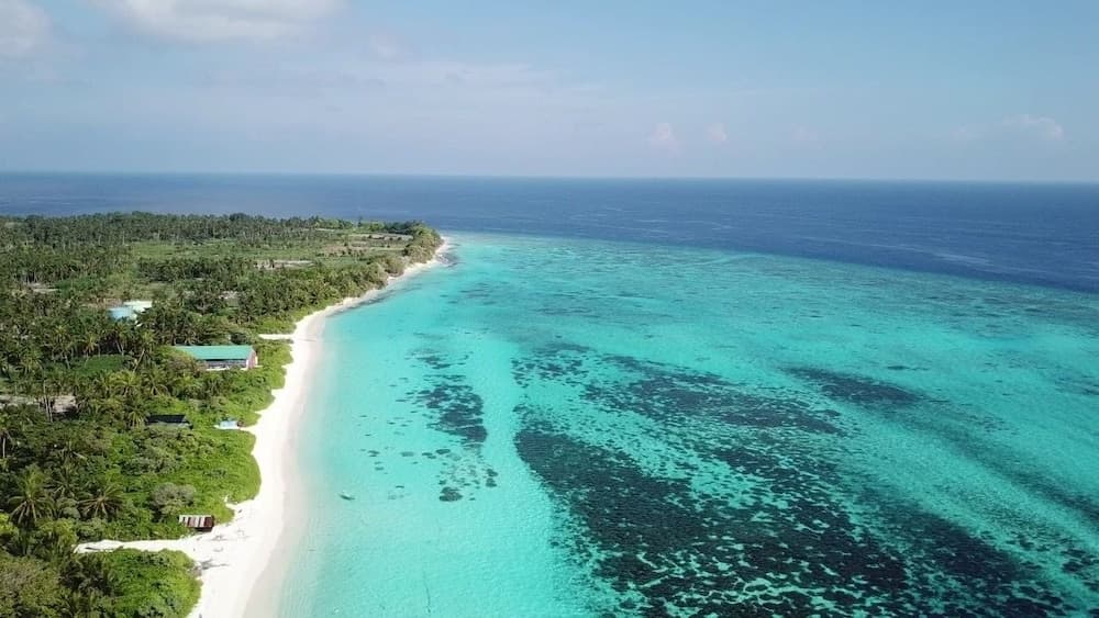 Thoddoo Beach Holiday Inn - View 31