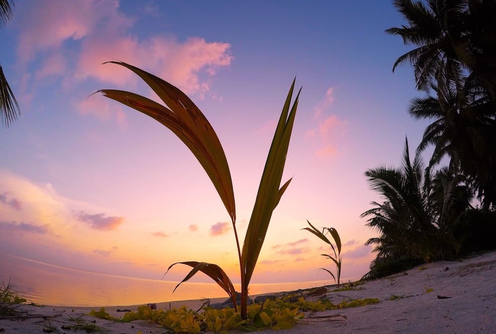 Annama Lodge And Dive - View 84