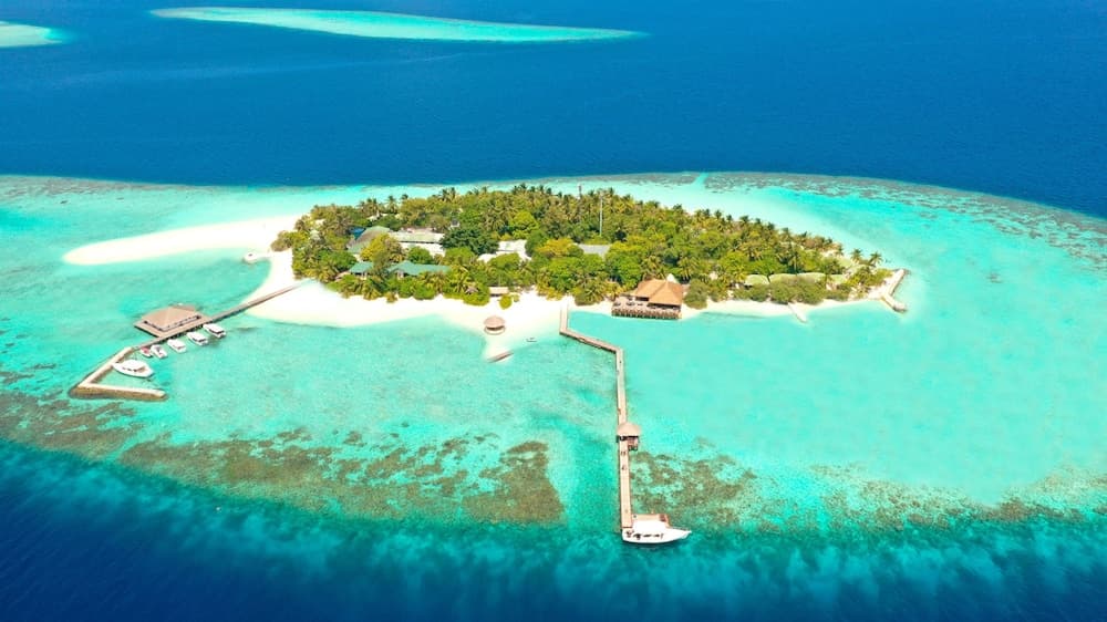 Eriyadu Island Resort - View 20