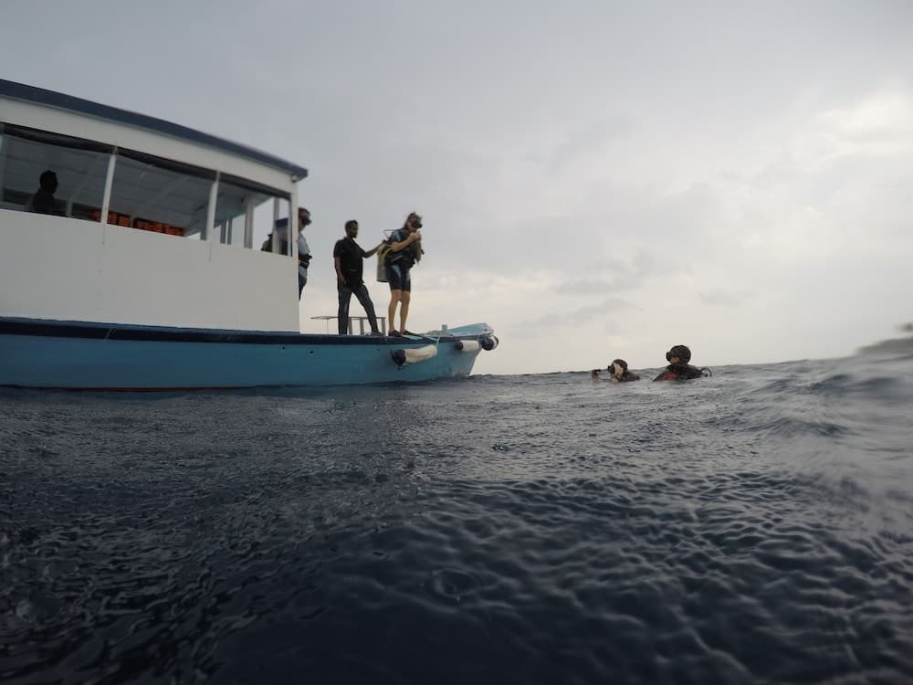 Annama Lodge And Dive - View 53