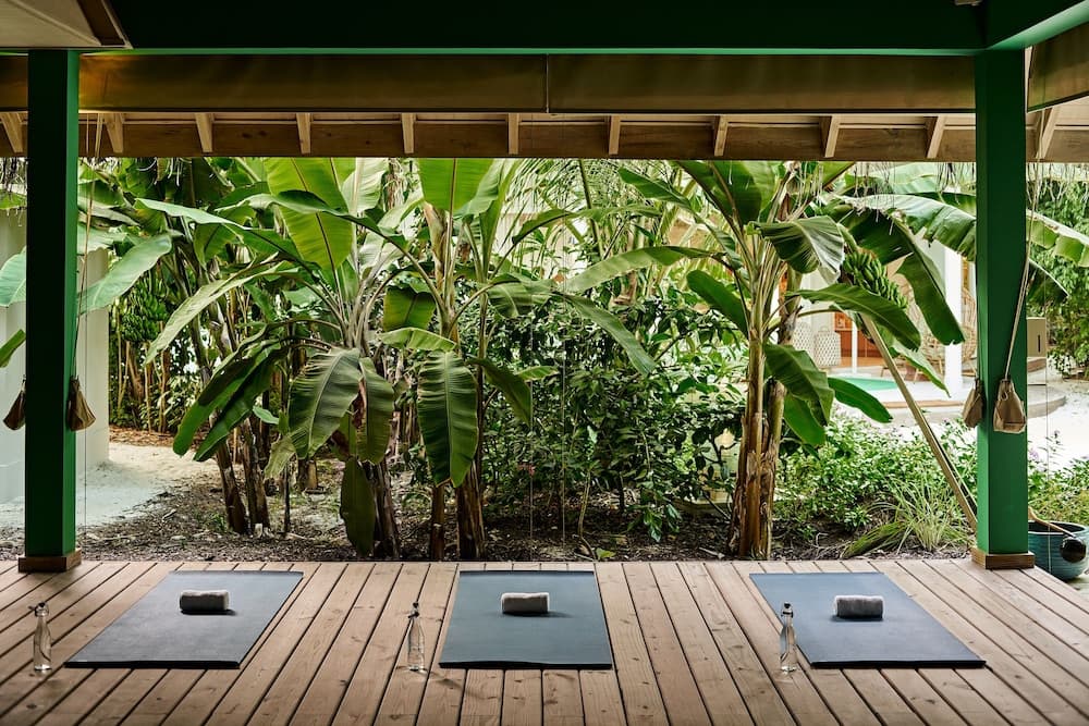 Finolhu, A Seaside Collection Resort, a Member of Design Hotels - View 111