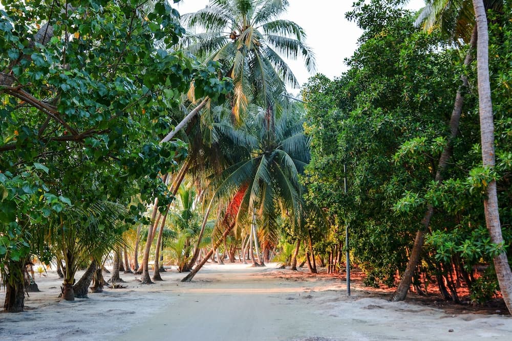 Maldives Seashine Guesthouse - View 8