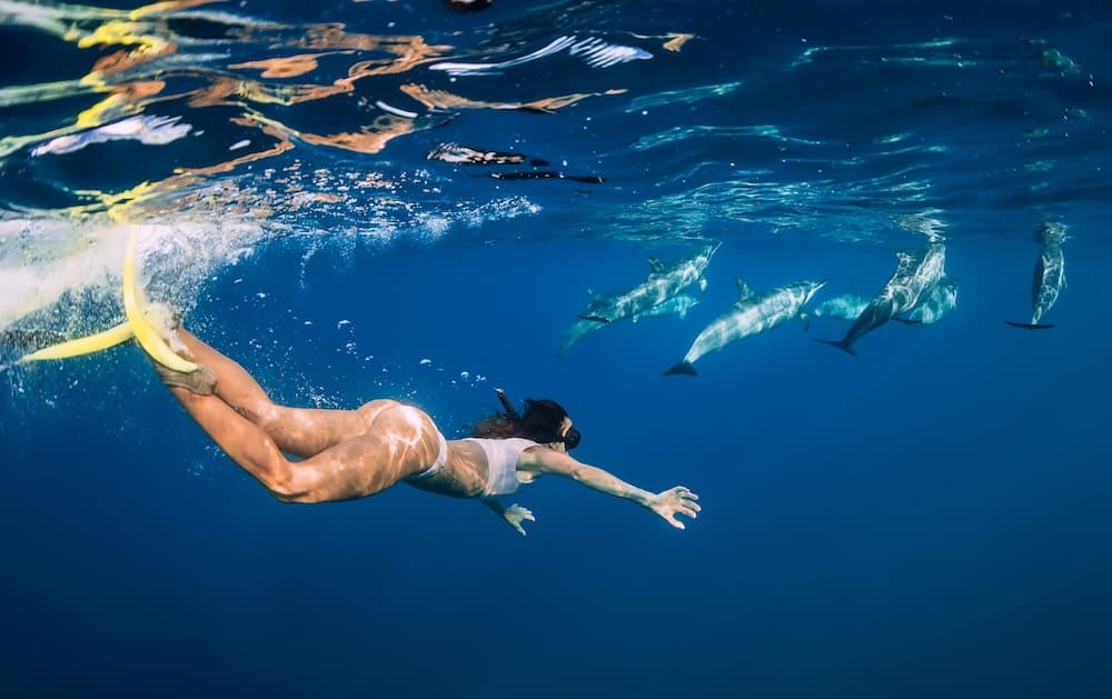 Kihaa Maldives - View 103