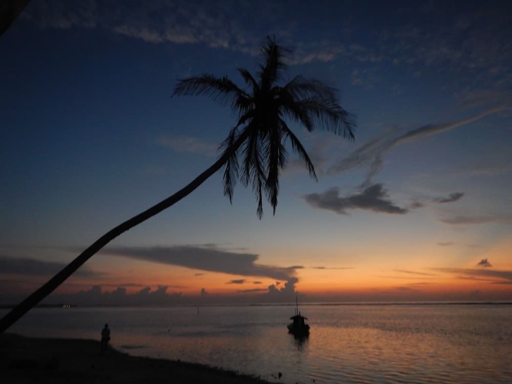 Beach Heaven Maldives - Golden Turtle Guest House - View 22