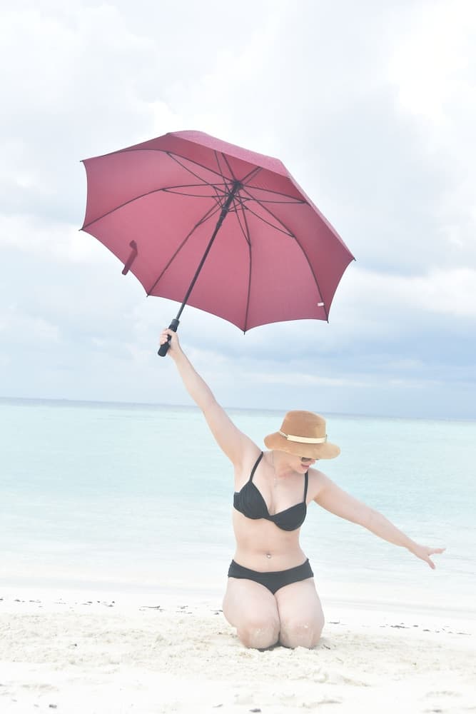 Island Guest - View 29