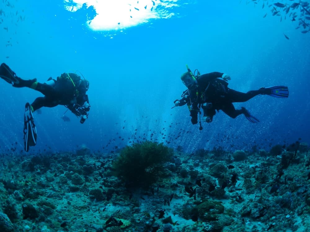 Adroit Beach Inn - View 63