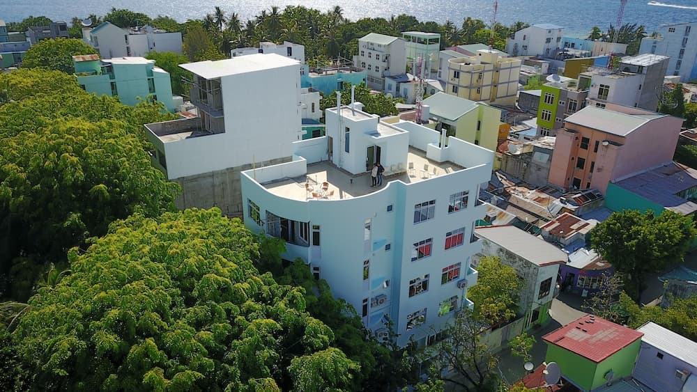 Green Flora - View 50