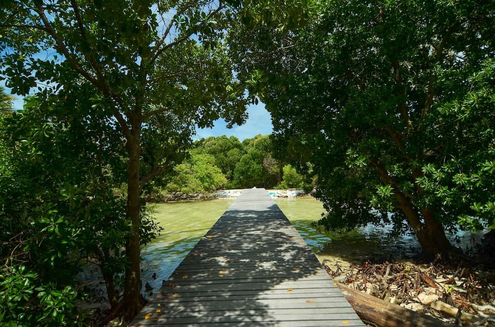 Huraa East Inn - View 20