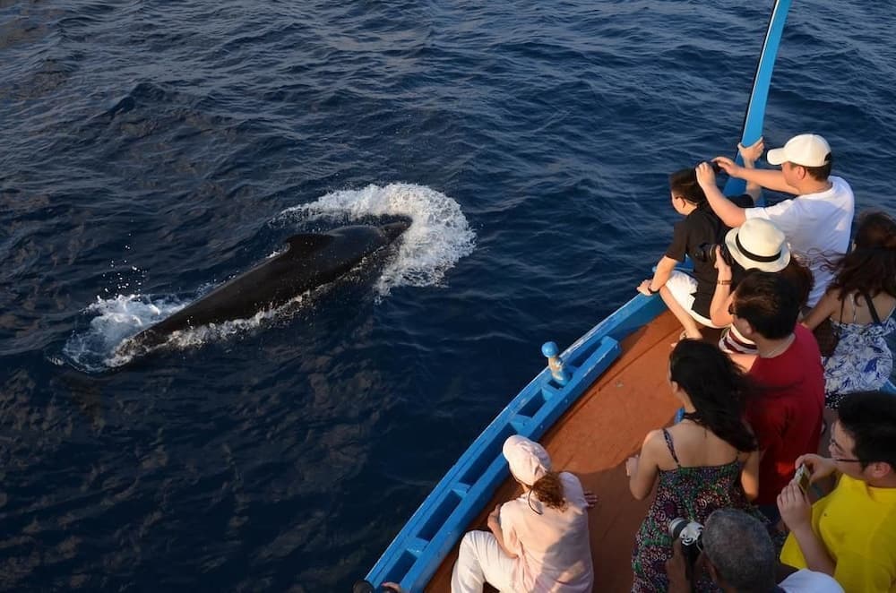 Smera Grand - View 24