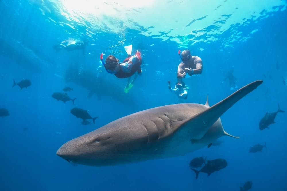 Holiday Inn Resort Kandooma Maldives by IHG - View 80