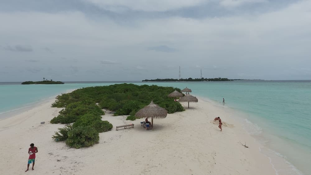 Palm Residence - View 43