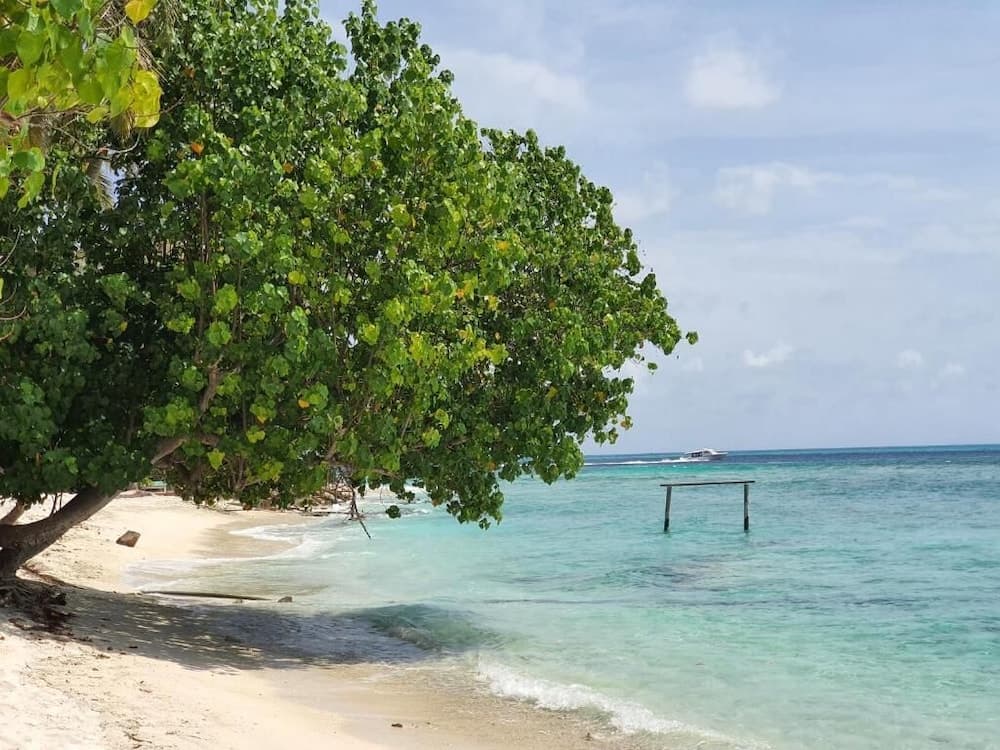 Orimas Retreat - View 31