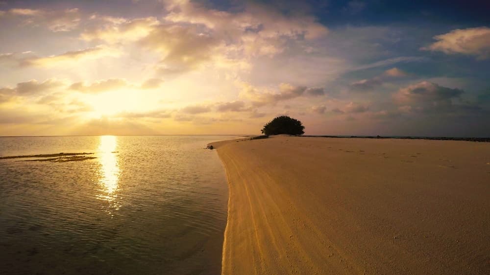 Annama Lodge And Dive - View 48