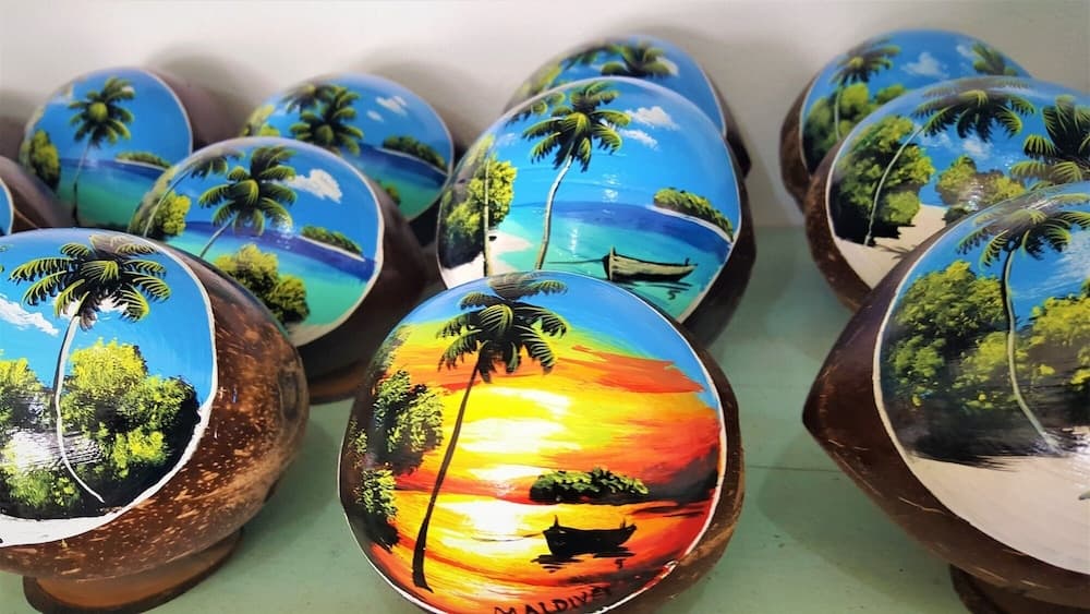 Explore Island Inn - View 36