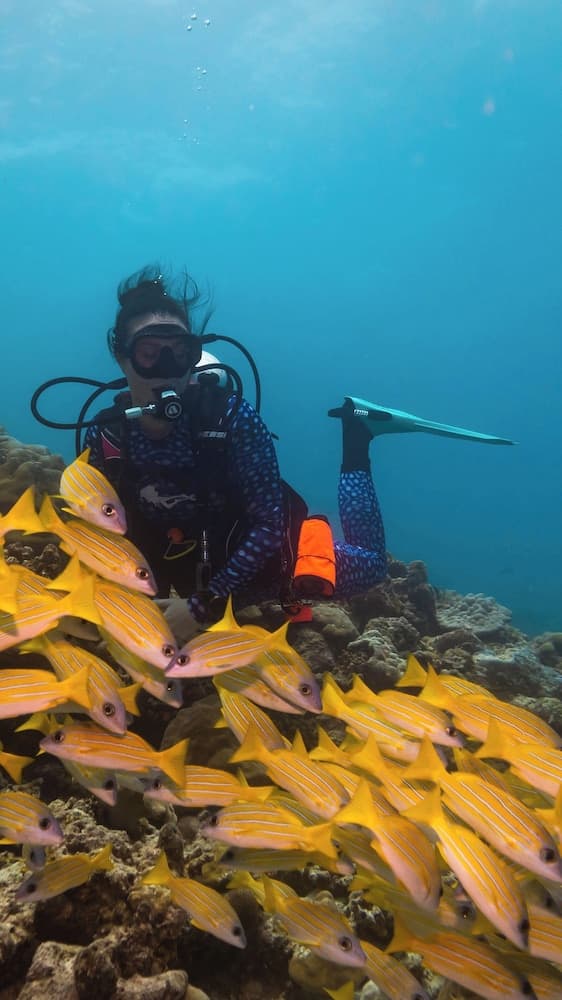 Kuredhivaru Resort & Spa Maldives - View 6