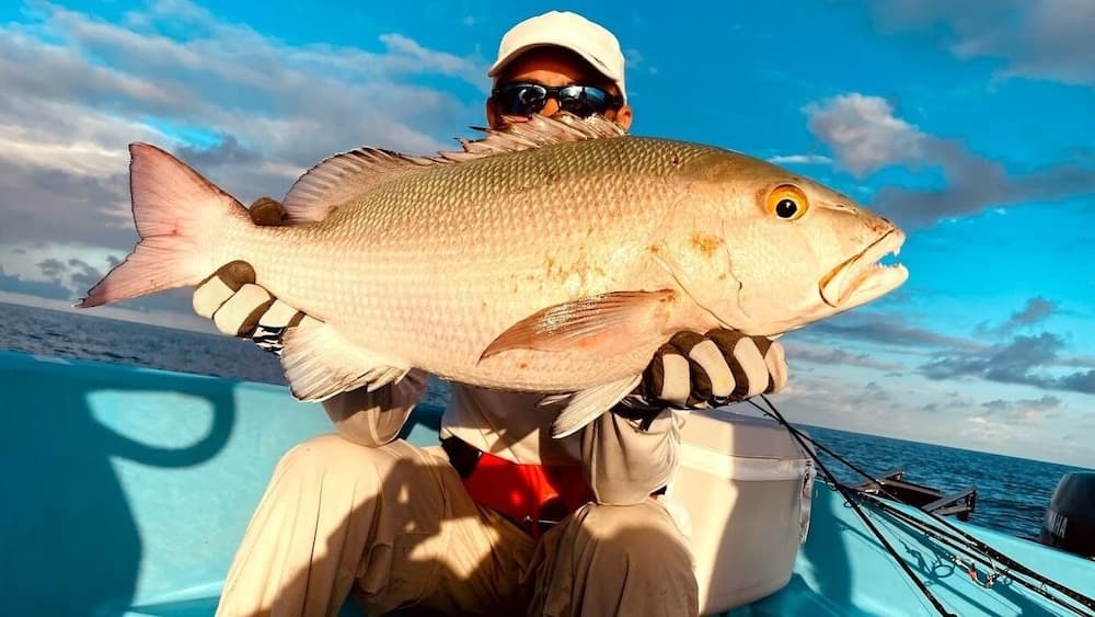 Yacht Fascination Maldives - View 42