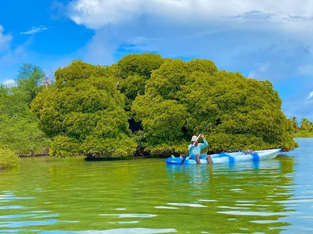 Charming Holiday Lodge - View 55