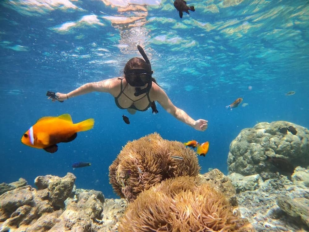 iCom Blue Sea View - View 24