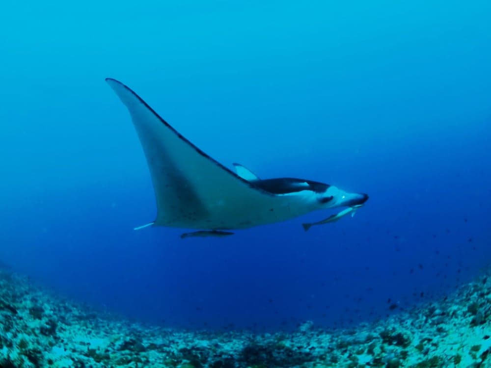 Adroit Beach Inn - View 166