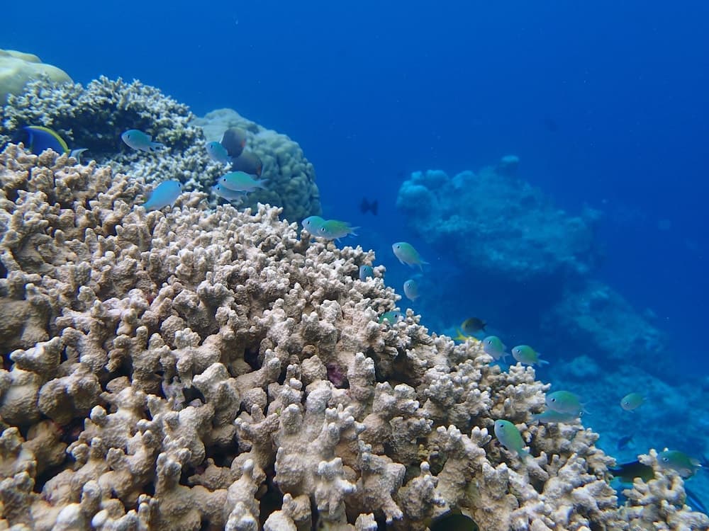 Wunderbar Inn - View 10