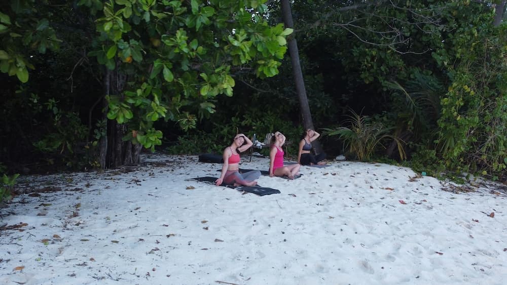 Stay Mikado - View 44