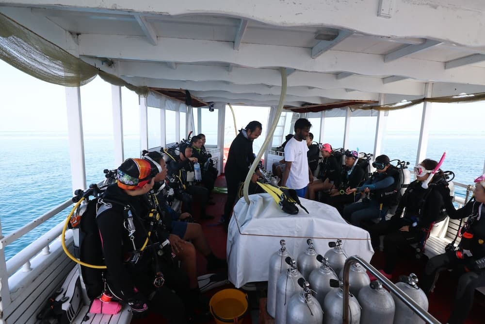 Liberty Guest House Maldives - View 236