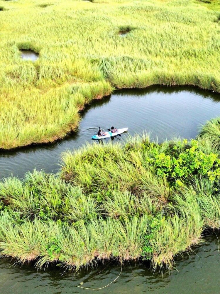 Tiger Shark Residence - View 23