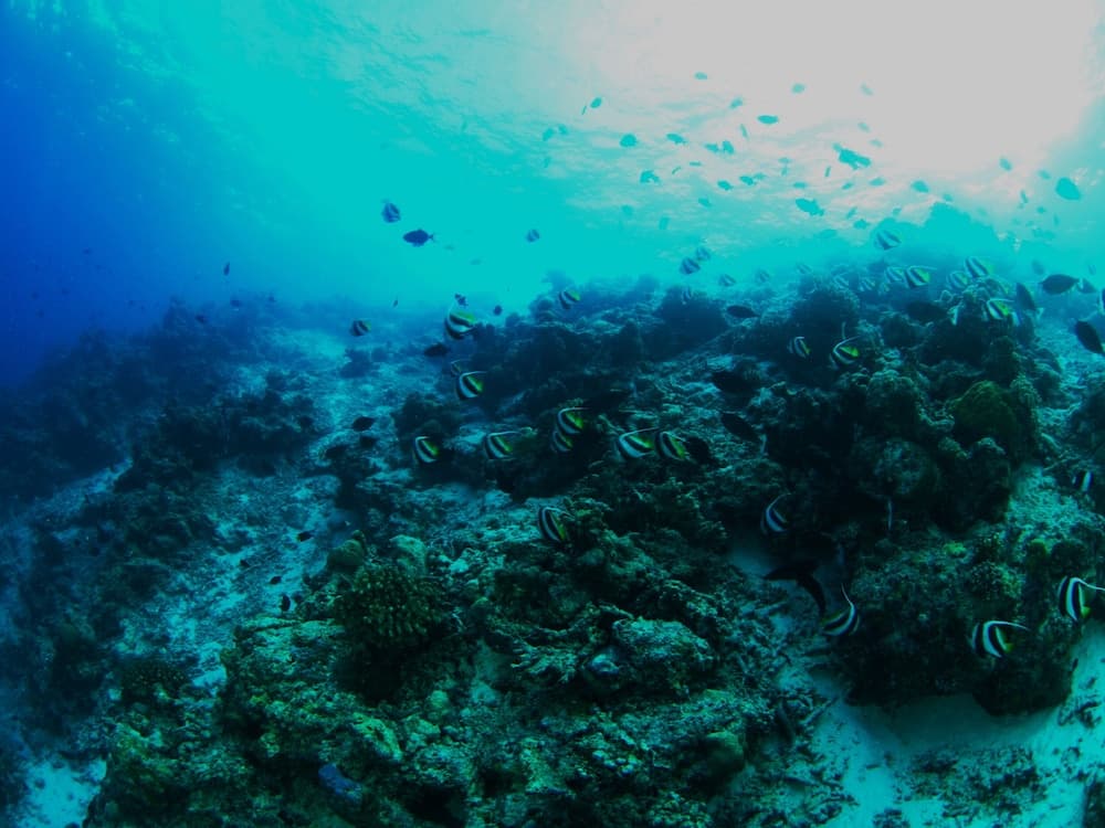 Adroit Beach Inn - View 169