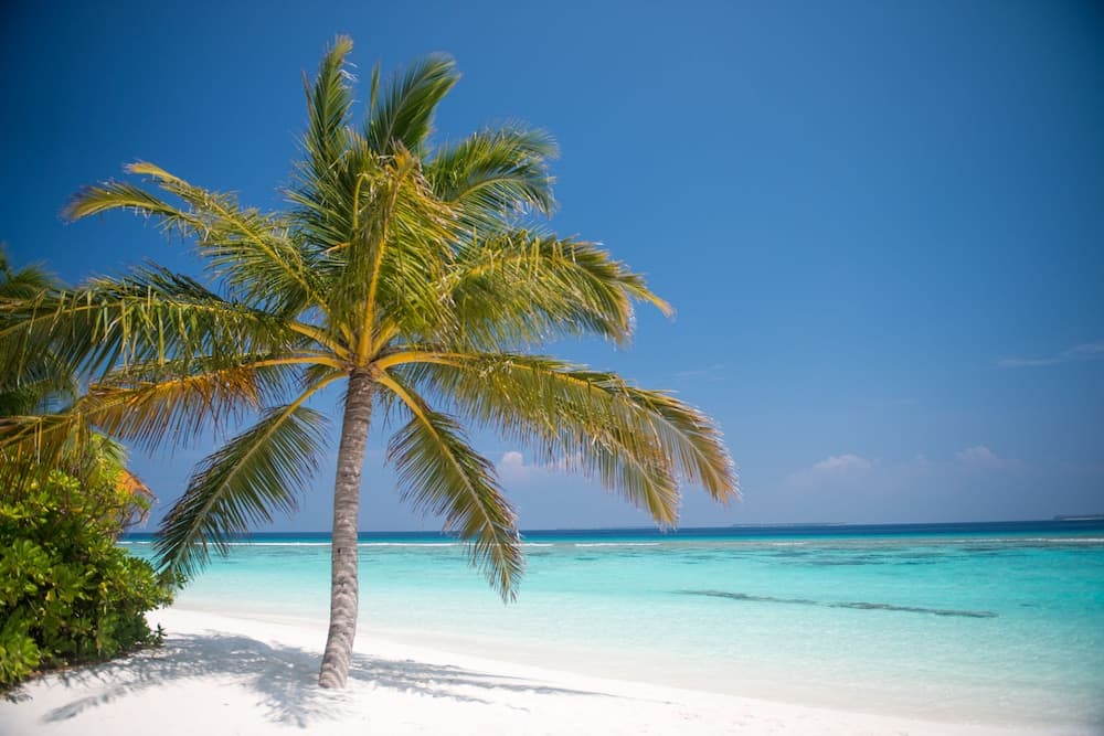 Biyadhoo Island Resort - View 52