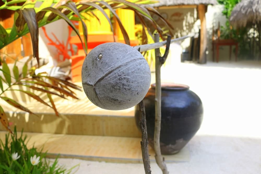 Ras Beach Inn - View 35