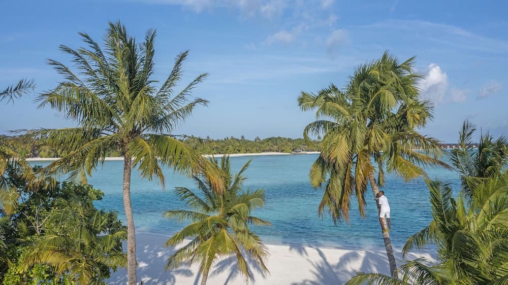 Naladhu Private Island Maldives - View 75