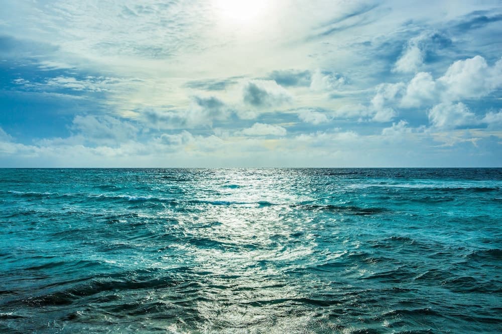COMO Maalifushi - View 157