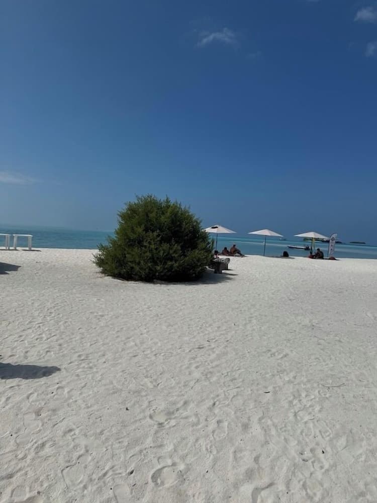 Rattehi Inn at Rakeedhoo - View 16