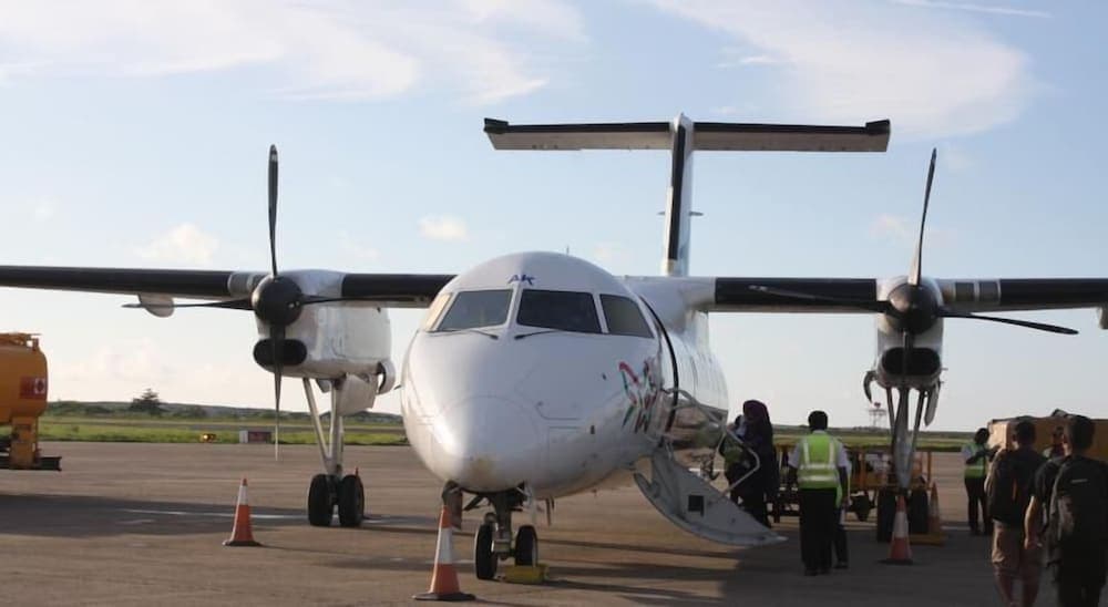 Pearl Beach View - View 15