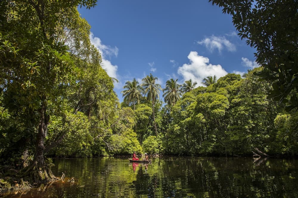Evexia Beach Collection - A Premium Wellness Retreat - View 43