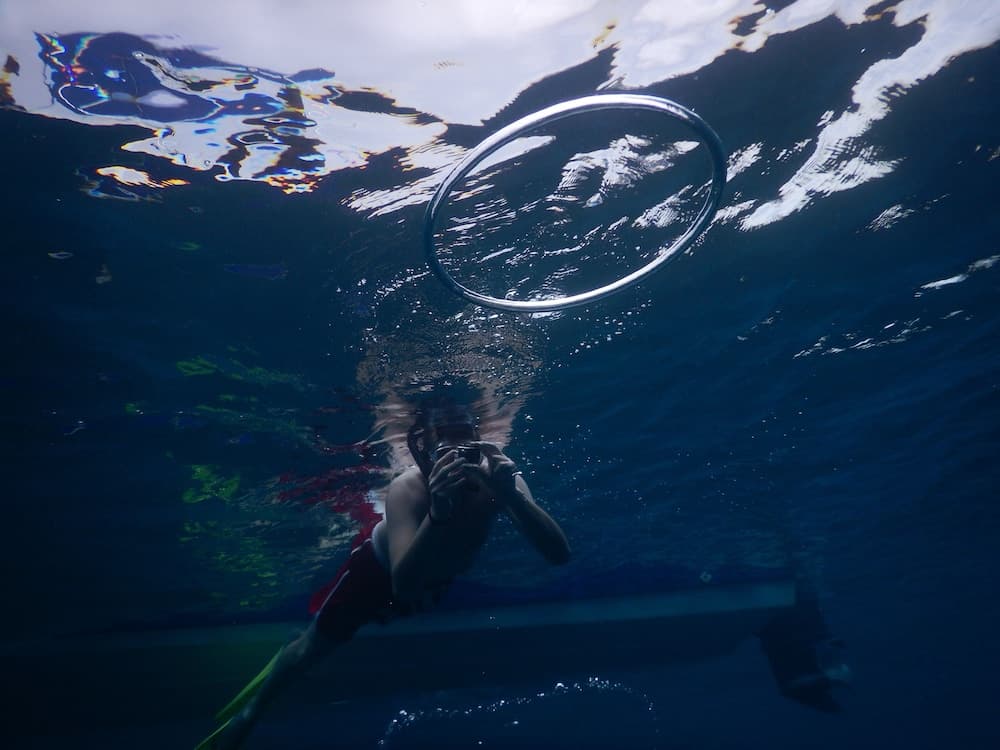 Equa Reef Maldives - View 32