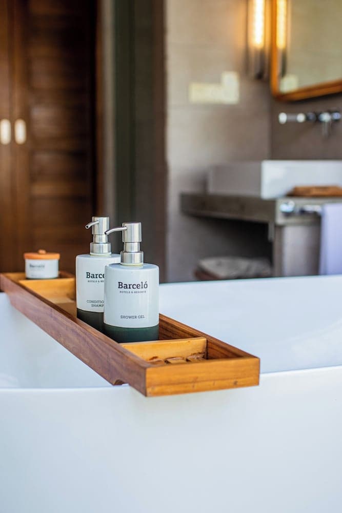 Barceló Whale Lagoon Maldives - View 19