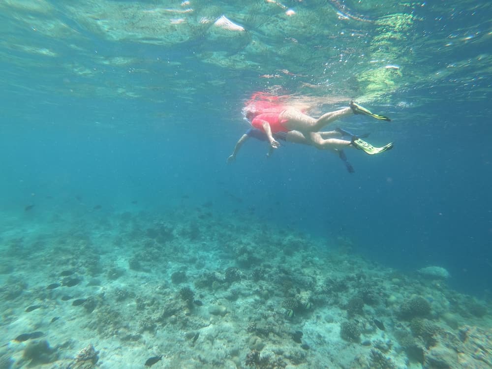 Sevinex Inn - View 26