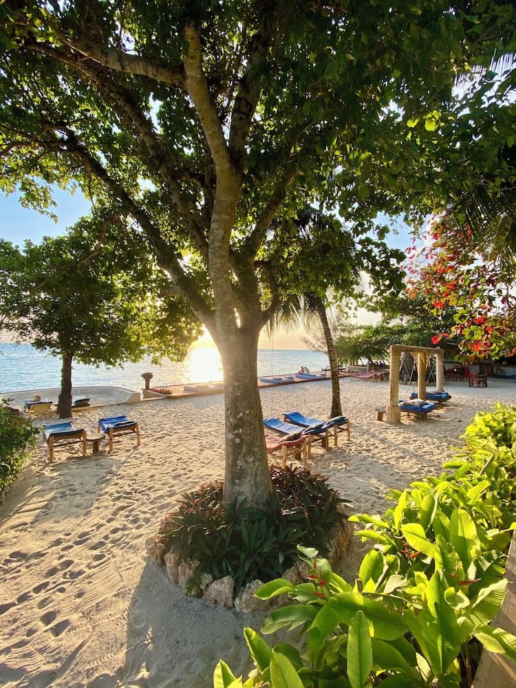 Coquillage Inn - View 8