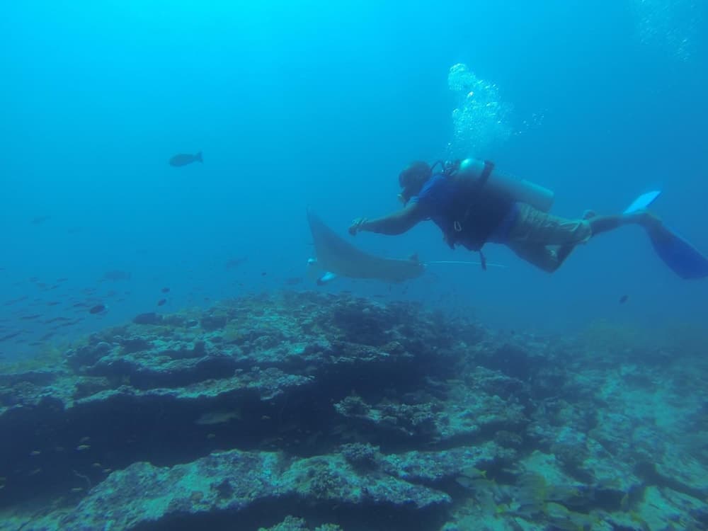 Kuri Beach View Inn - View 30